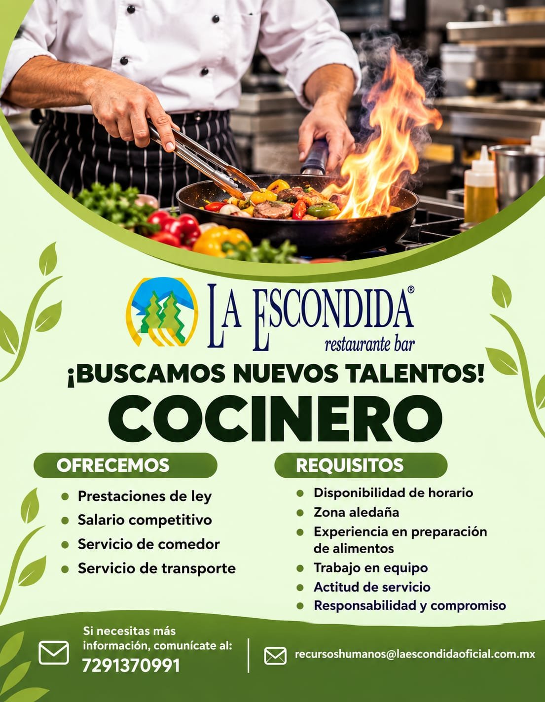 Cocinero, Auxiliar de barra, Lava loza y Tablajero